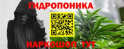 круглые Гусев